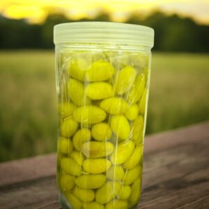 منصة زروع لبيع زيت الزيتون الطبيعي والتمور والعسل منتجات منصة زروع